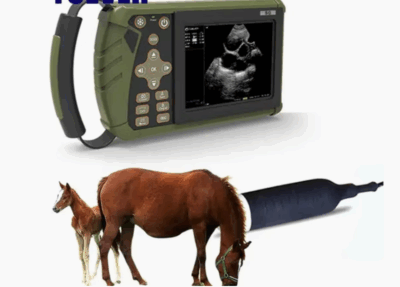 Animal Portable Full Digital Veterinary Diagnostic Equine Ultrasound Machine